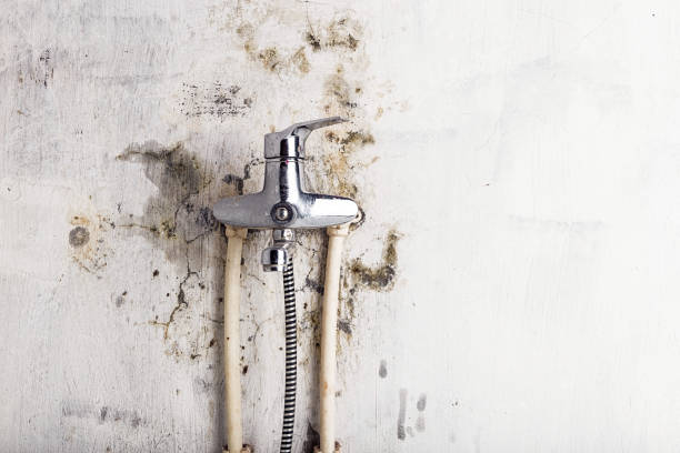Best Emergency Mold Removal  in Rouses Point, NY