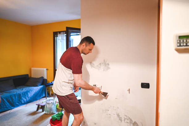 Best Certified Mold Removal  in Rouses Point, NY